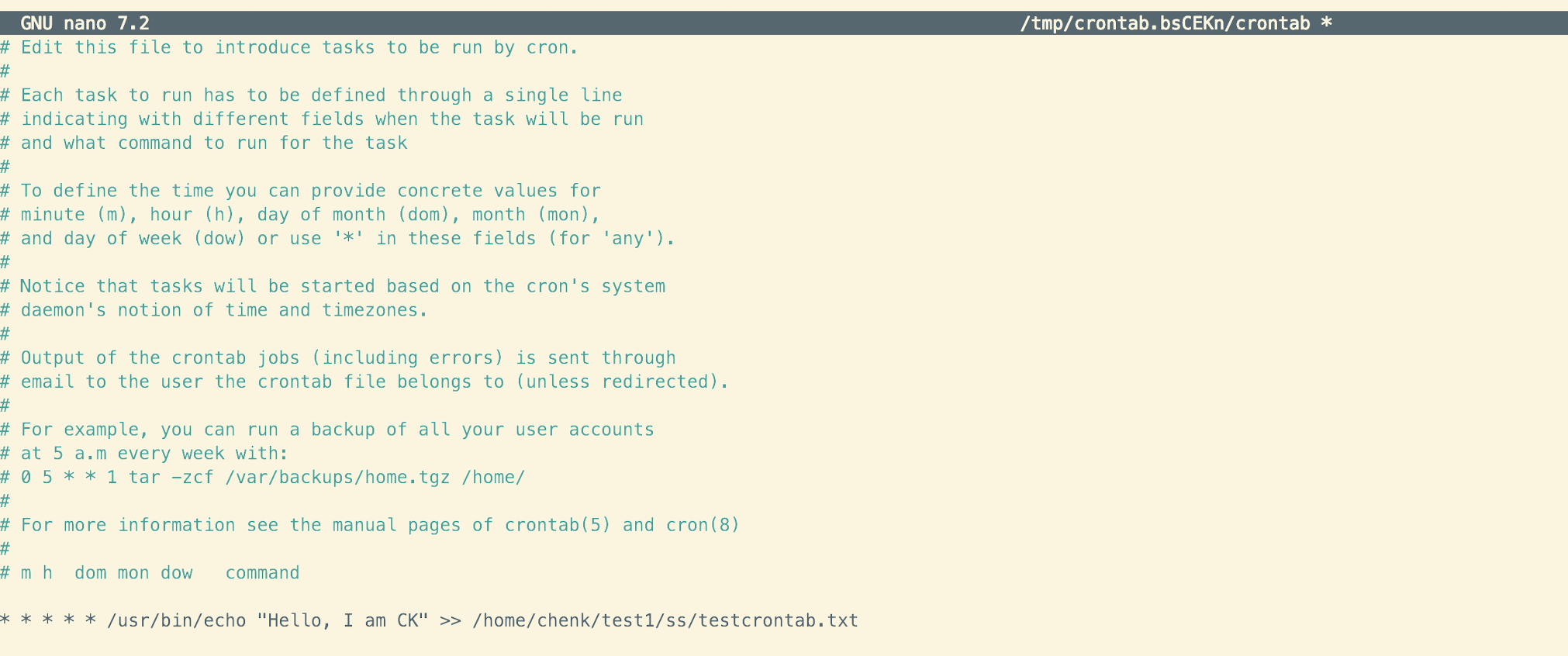 image-20250205113536906